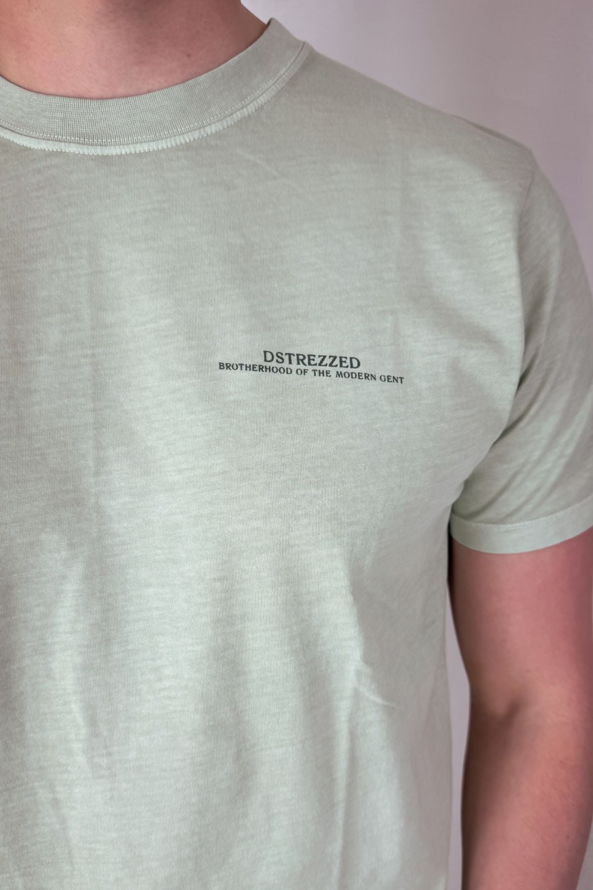 Printed T-Shirt Nickolas - sage